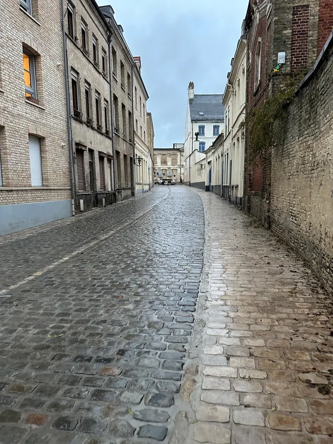 Rue pavée en porphyre dans un cœur de ville historique